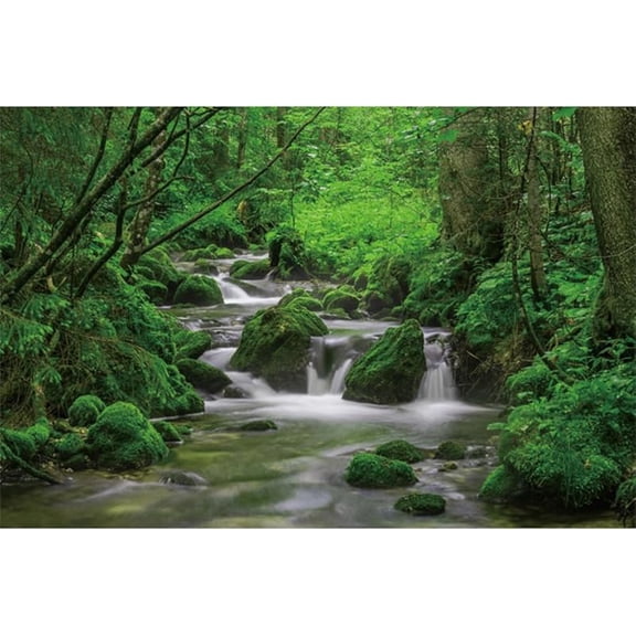 Jungle Flowing Stream Forest Waterfall Backdrop Tropical Rainforest River Rock Moss Spring Nature Scenery Photography Background Party Decorations Banner Supplies Photo Booth Props