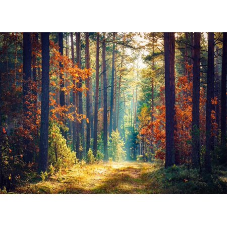 Jungle Forest Autumn Backdrop Nature Scenery Fairy Tale Birthday Party Event Decorations Banner Photography Background