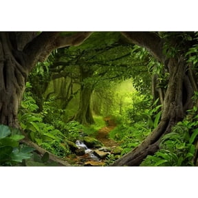 Jungle Forest Backdrop Spring Enchanted Forest Dreamland Dirt Road Background for Photography Lush Woods Kids Adults Shoot Studio Props Wild One VBS Jungle Safari Bday Party Banner
