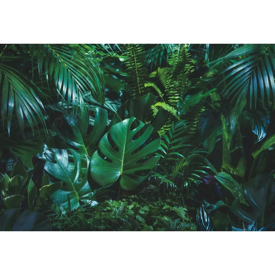 40 Serviettes Papier Tropicales 33x33cm - Motif Jungle, Flamants | Décoration Thème Exotique, Fête