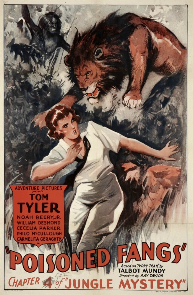 Jungle Mystery Canvas Art - (11 x 17)