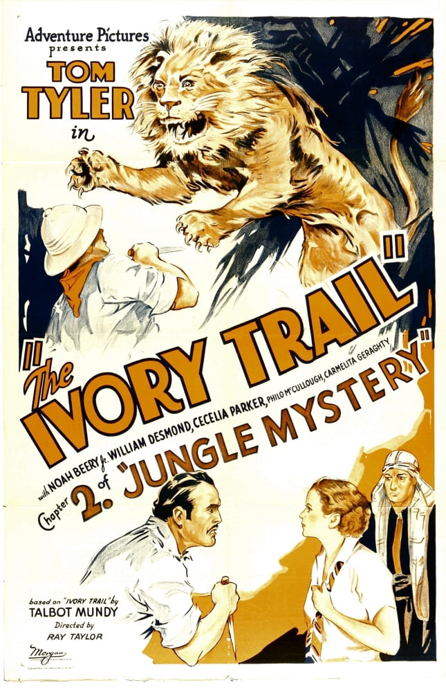 Jungle Mystery Canvas Art - (24 x 36)