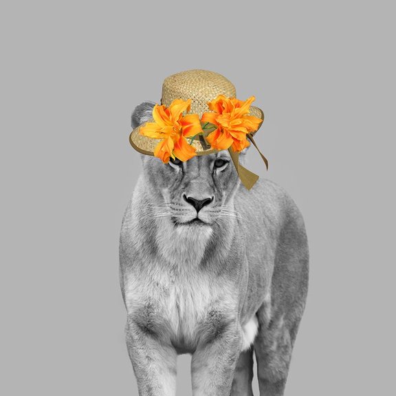 Jungle Queen B Poster Print by Jamie Phillip (24 x 24) # JS79B