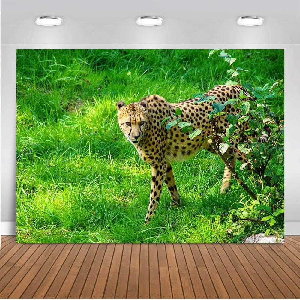Jungle Safari Backdrop 7x5ft Leopard Wild Animal Green Grassland