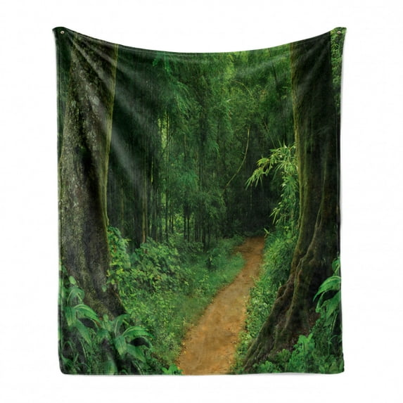 Jungle Soft Flannel Fleece Throw Blanket, Pathway in the Forest Thailand Freshness Calm Nature Park Hiking Hobby Picture, Cozy Plush for Indoor and Outdoor Use, 70" x 90", Green, by Ambesonne
