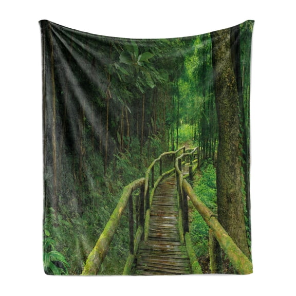 Jungle Soft Flannel Fleece Throw Blanket, Rainforest in Thailand Foliage Greenery Wooden Pathway Trekking Primeval, Cozy Plush for Indoor and Outdoor Use, 60" x 80", Green Brown, by Ambesonne
