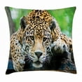 thumbnail image 1 of Jungle Throw Pillow Cushion Cover, South American Jaguar Wild Animal Carnivore Endangered Feline Safari Image, Decorative Square Accent Pillow Case, 16 X 16 Inches, Orange Black Green, by Ambesonne, 1 of 2