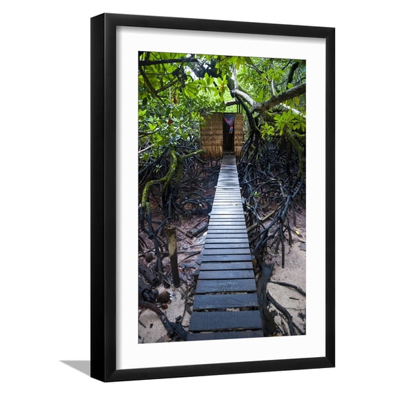 Art.com Jungle Toilet on a an Islet at the Marovo Lagoon, Solomon Islands, Pacific Photographic Print by Michael Runkel, Black Frame Wall Art, 17" x 23"