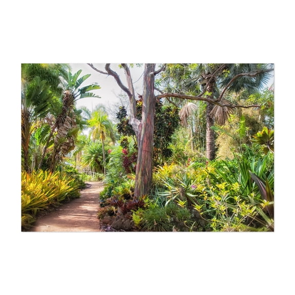 Jungle Trail - Photography Tropical Garden Botanical Nature Scenic Jungle Landscape Unframed Wall Art Print 4 x 6 inches