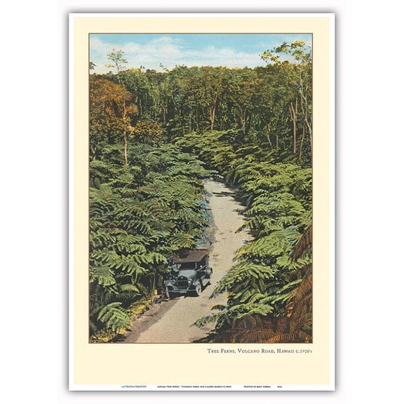 Jungle Tree Ferns - Volcano Road Big Island Hawaii - Vintage Hawaiian Travel Poster c.1920s - Master Art Print 10in x 14in