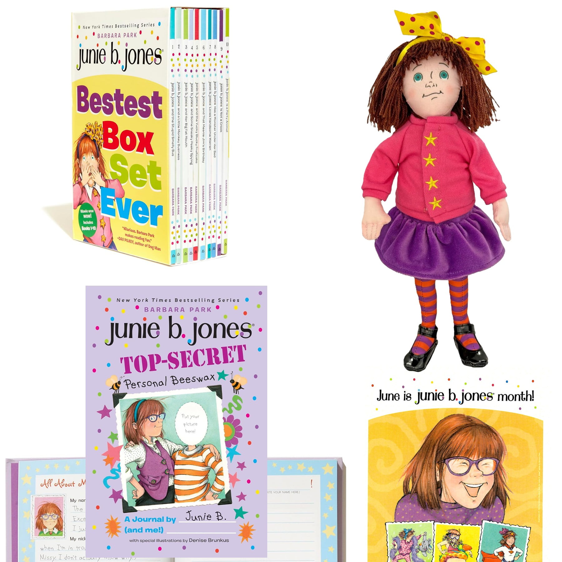 Junie B Jones Gift Set – Boxed Book Set by Barbara Park (Book 1–10 ...