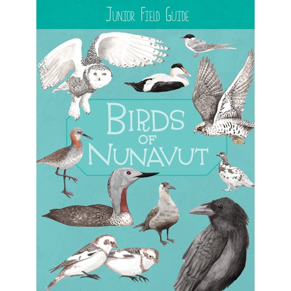 Junior Field Guides Junior Field Guide: Birds of Nunavut: English Edition, (Paperback)