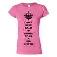 thumbnail image 1 of Junior I Can't Keep Calm I'm Going To Be A Big Sister Love Sis DT T-Shirt Tee, 1 of 2