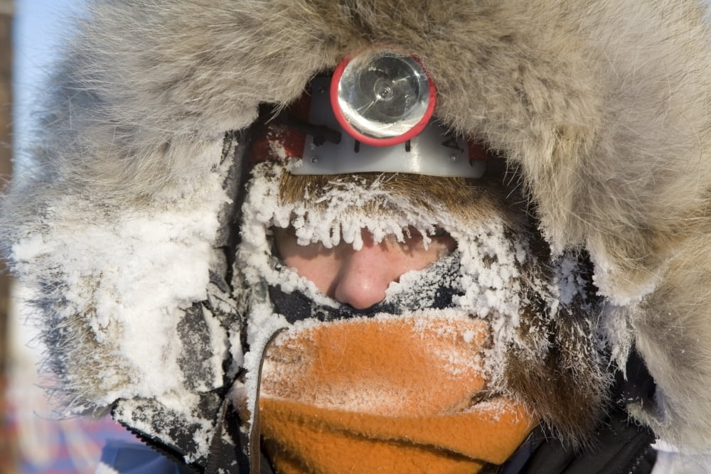 Junior Iditarod Musher Ava Lindner Frosted Up After Crossing The Finish Line In Sixth Place In Willow Alaska Canvas Art - Jeff Schultz Design Pics (17 x 11)