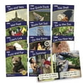 thumbnail image 1 of Junior Learning Letters & Sounds Phase 3 Set 2 Non-Fiction Educational Learning Set, 1 of 3