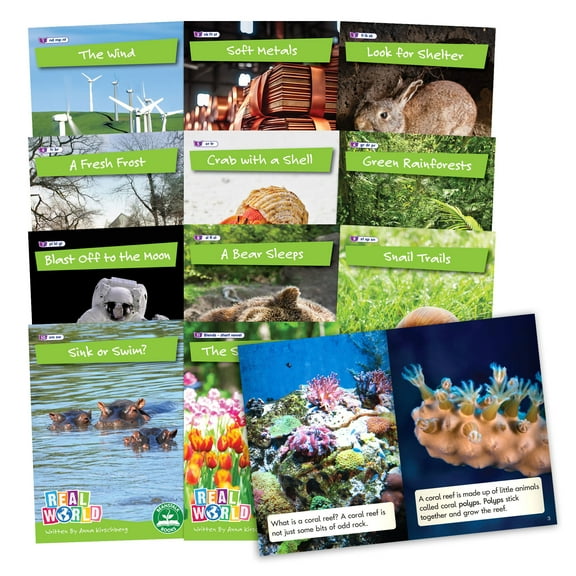 Junior Learning: Real World - Phase 4 - Non-Fiction Hi-Lo Decodables, 6 Book Set, Blends Focus, Week-By-Week Rainbow Phonics, Kids Reading Development