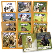 Junior Learning Science Decodables Phase 2 Non-Fiction Educational Learning Set