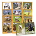 thumbnail image 1 of Junior Learning Science Decodables Phase 2 Non-Fiction Educational Learning Set, 1 of 3