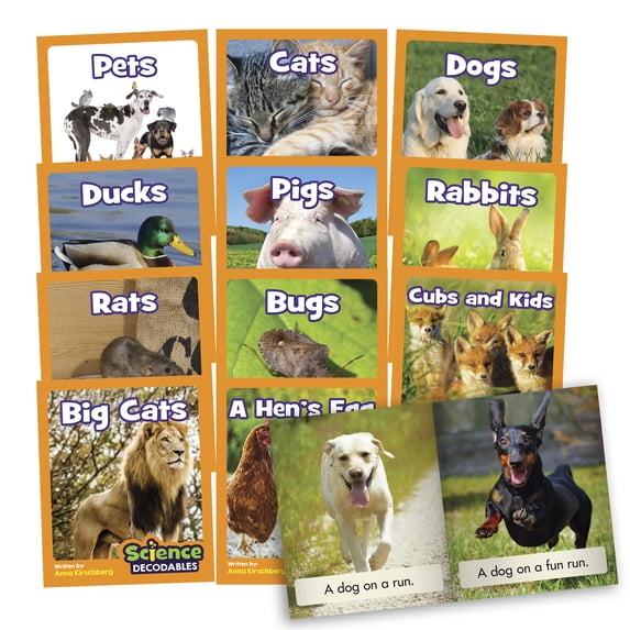 Junior Learning Science Decodables Phase 2 Non-Fiction Educational Learning Set