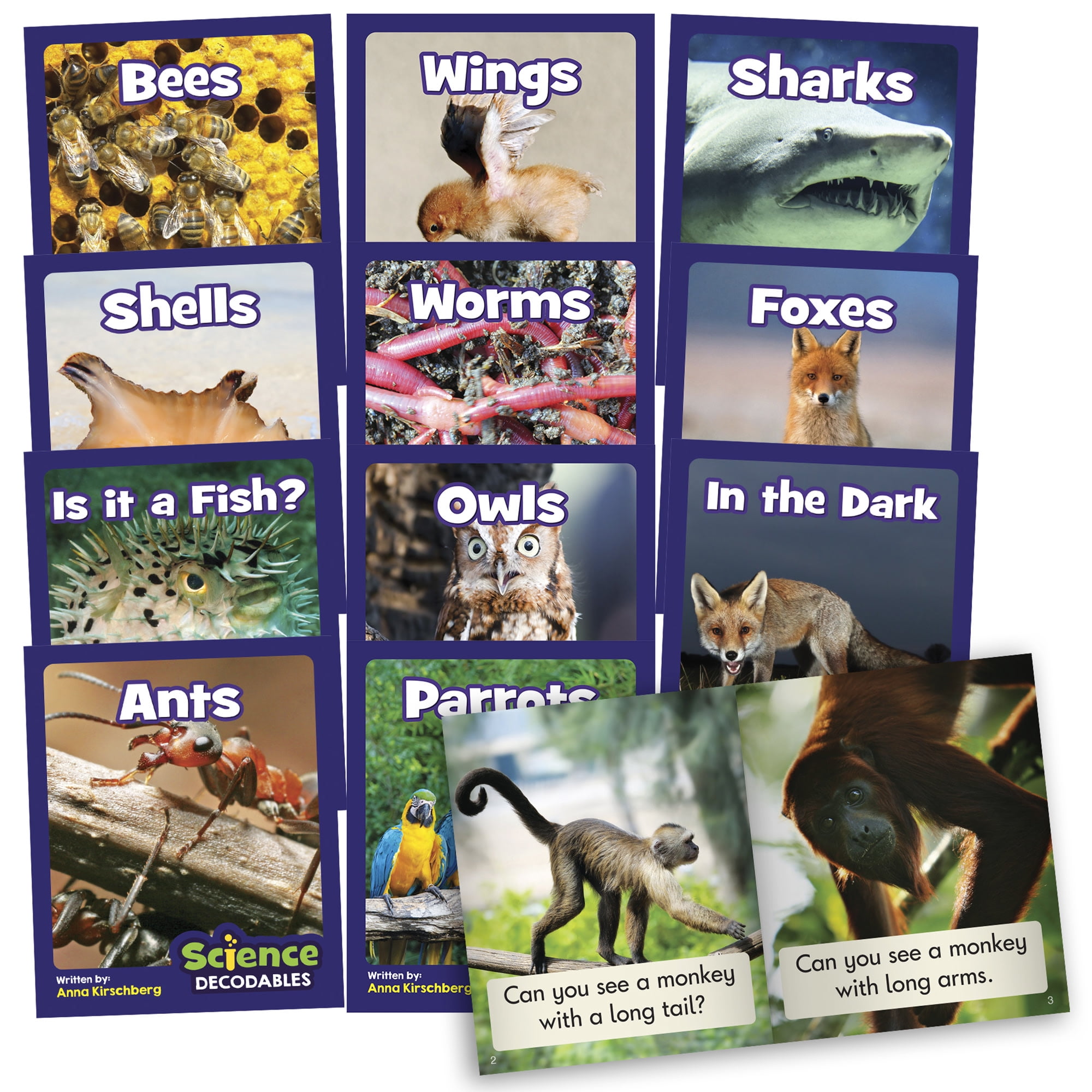 Junior Learning Science Decodables Phase 3 Non-Fiction Educational Learning Set