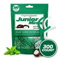 thumbnail image 1 of EVERYDAY JOE Dental Floss Picks, Fresh Mint Flavor, 300 Count, 1 of 7