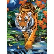 Junior Small Paint By Number Kit 8.75"X11.75"On The Prowl