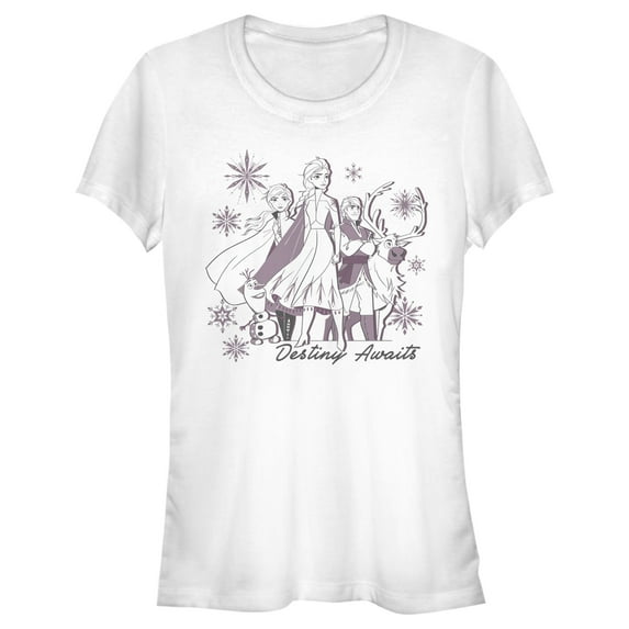Junior's Frozen 2 Destiny Awaits Friends Graphic Tee White 2X Large