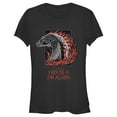 thumbnail image 1 of Junior's Game of Thrones: House of the Dragon Fire Dragon Portrait Graphic Tee Black Medium, 1 of 3