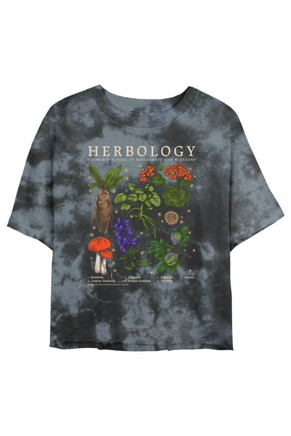 Junior's Harry Potter Herbology Chart Graphic Crop T-Shirt Black/Charcoal Medium