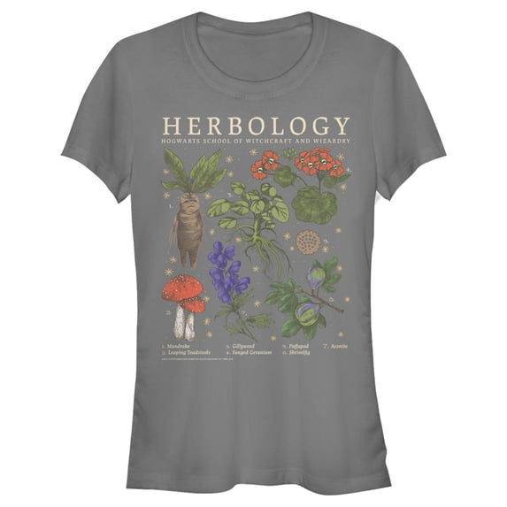 Junior's Harry Potter Hogwarts Herbology Graphic Tee Charcoal 2X Large