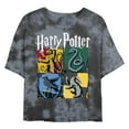 thumbnail image 1 of Junior's Harry Potter Hogwarts Houses Vintage Collage Graphic T-Shirt, 1 of 4