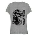 thumbnail image 1 of Junior's Jurassic World T. Rex Carnivore  Graphic Tee Athletic Heather X Large, 1 of 2