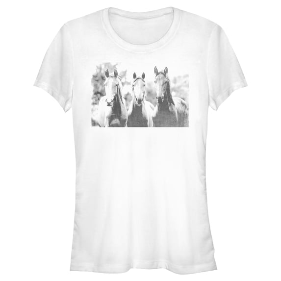 Junior's Lost Gods Black and White Horses Graphic Tee White Small
