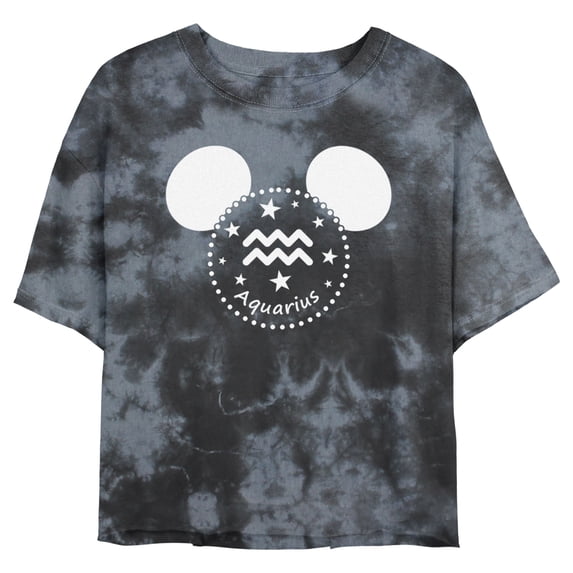 Junior's Mickey & Friends Aquarius Mousey Silhouette Graphic Crop T-Shirt Black/Charcoal Medium