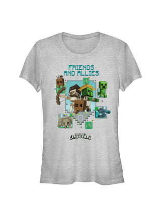Boy's Minecraft Legends Friends and Allies Banner Graphic Tee Red Small 