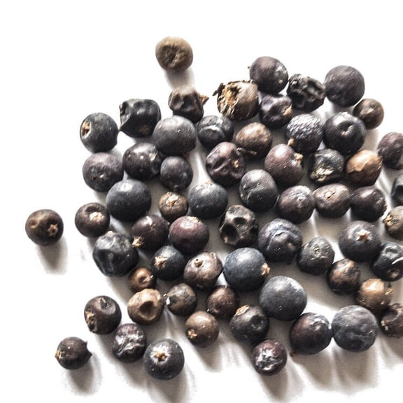 Juniper Berries, Dried Herb, 1 oz (28 g)