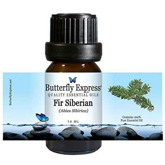 Juniper Berry Essential Oil 10ml - 100% Pure - by Butterfly Express