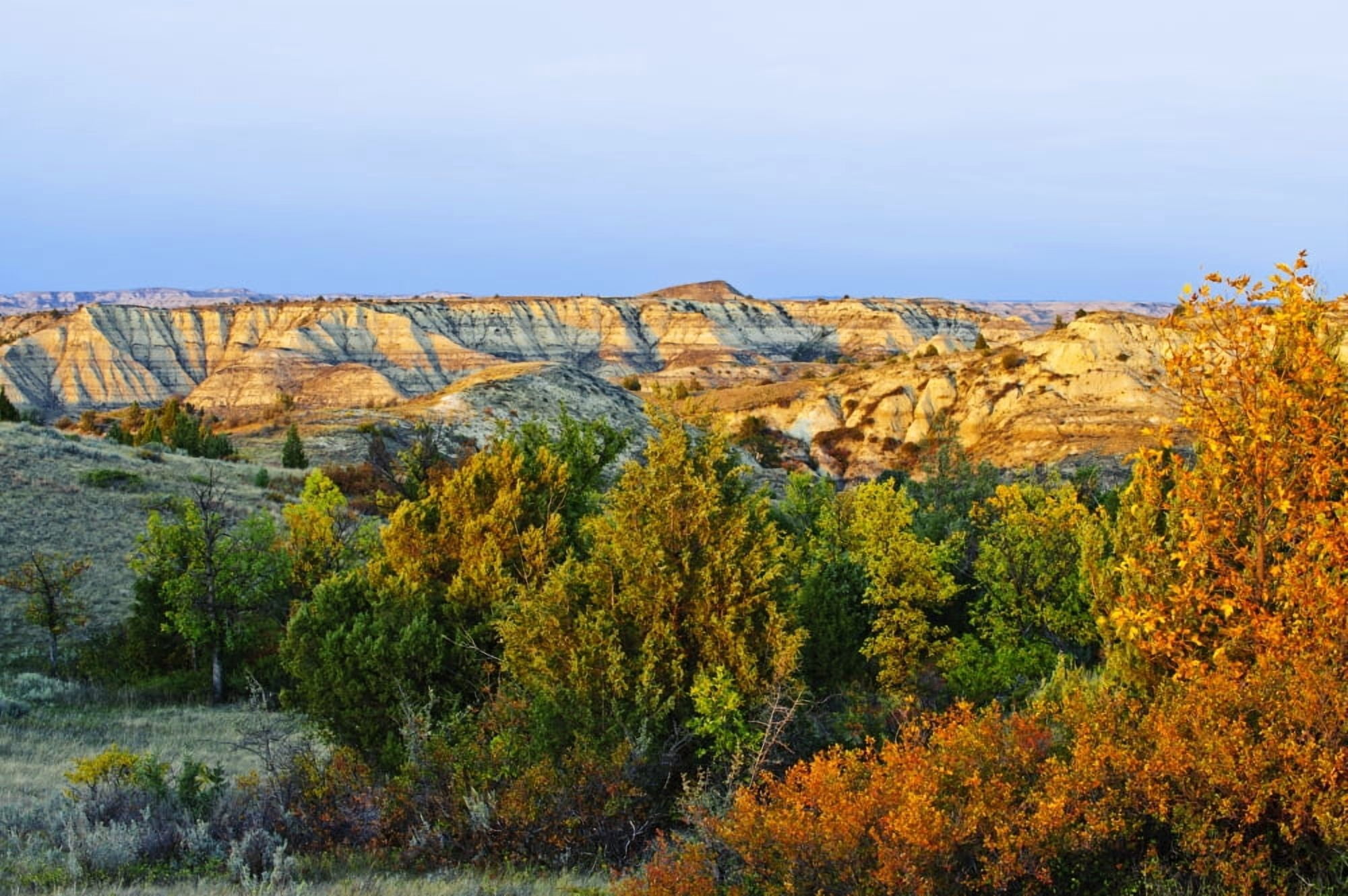 Juniper and canyons Little Missouri Grasslands North Dakota United States of America Canvas Art - T C Knight Design Pics (19 x 12)