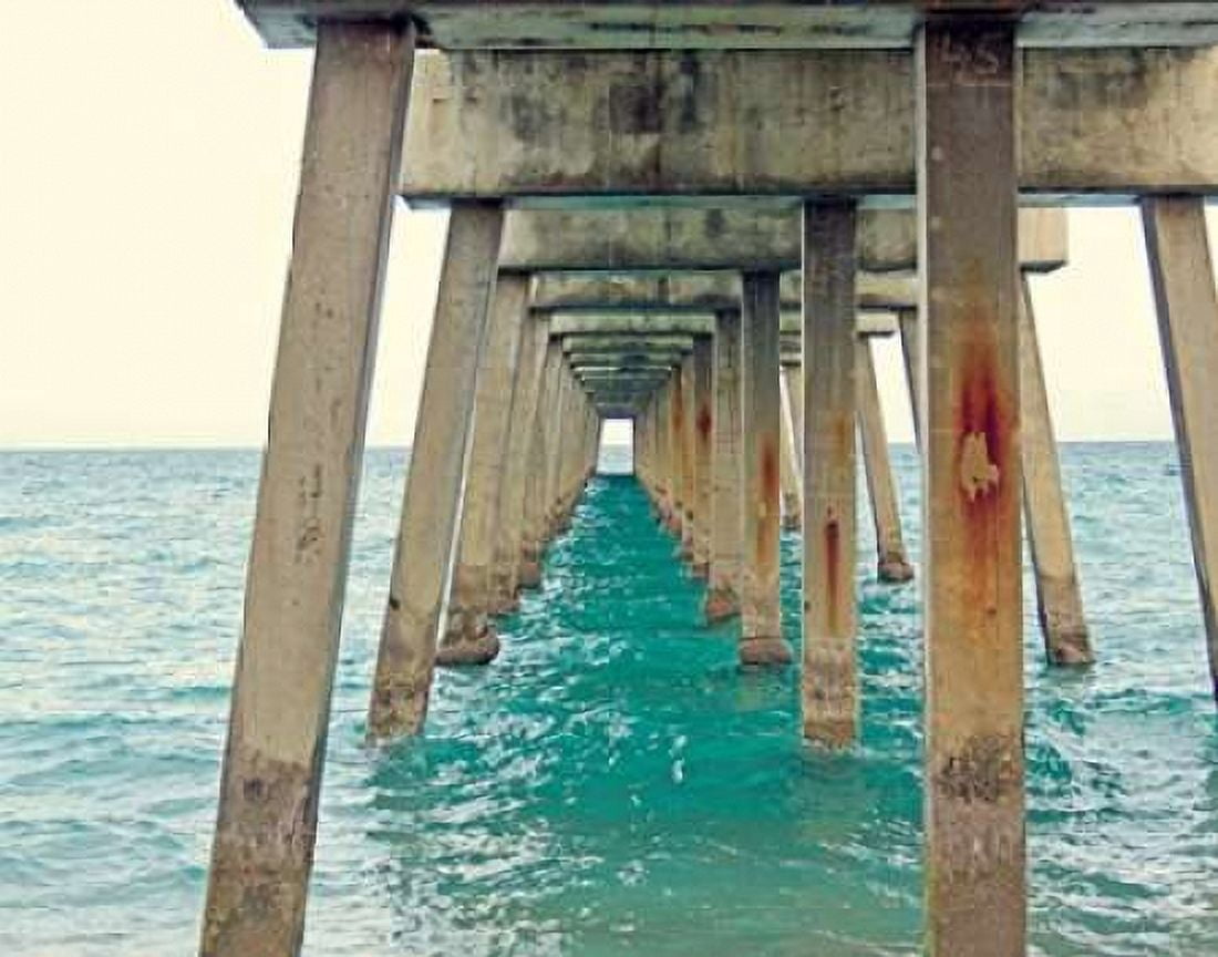 Juno Pier Canvas Art - Lisa Hill Saghini (22 x 28)