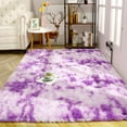 thumbnail image 1 of Junovo Luxury Velvet Shag Area Rug Modern Indoor Fluffy Rugs, Extra Comfy and Soft Carpet For Bedroom Living Room Kids Room,4'x6',Purple, 1 of 7