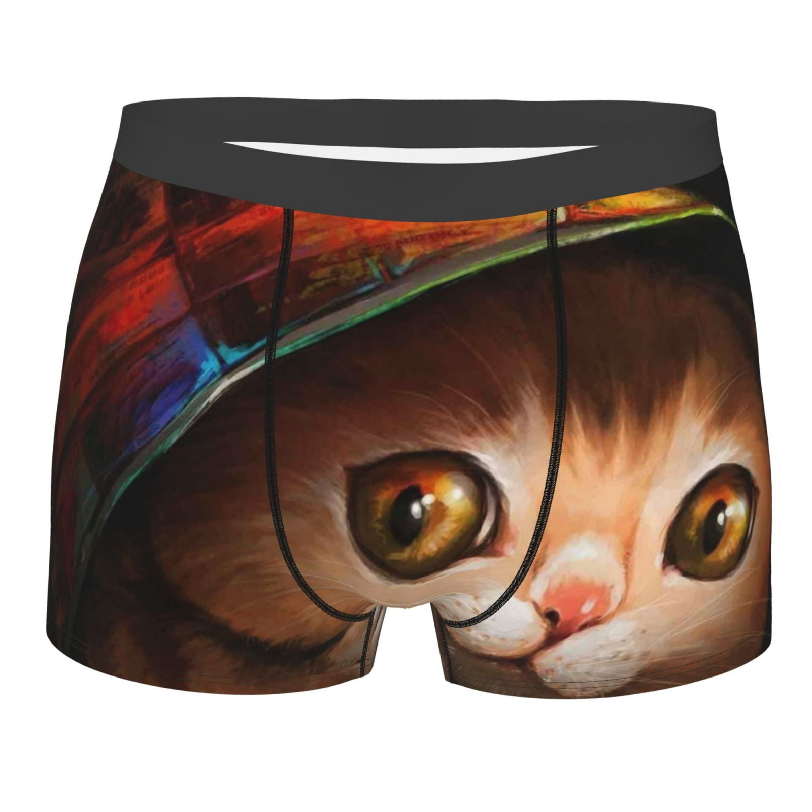 Junzan Animal Cat Mens Underwear Boxer Briefs For Men’s Large
