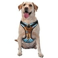 thumbnail image 1 of Junzan Animals On Noah'S Ark Pattern Dog Harness - Lightweight,Soft,Adjustable Small Harness And Leash Set-Medium, 1 of 8