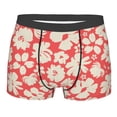 thumbnail image 1 of Junzan Beige Flowers Mens Underwear Boxer Briefs For Men’s - Small, 1 of 9