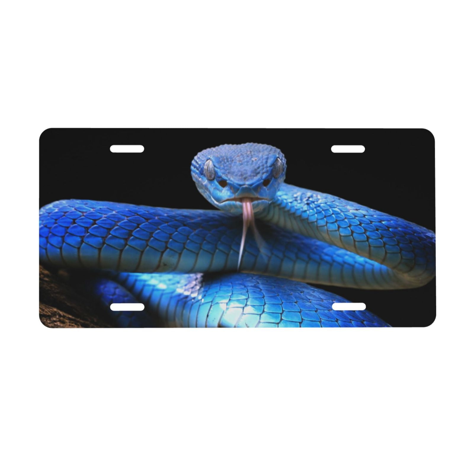 Junzan Blue Viper Snake Front License Plate Covers Decorative Car Metal