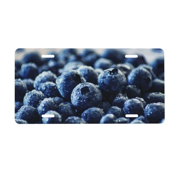 Junzan Blueberry Front License Plate Covers Decorative Car Metal Plates Novelty License Plate 6 X 12 Inch For Women Men