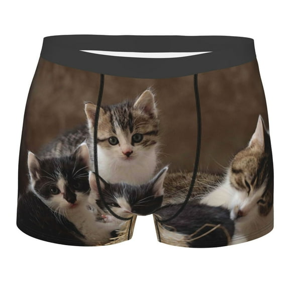 Junzan Cat Family Mens Underwear Boxer Briefs For Men’s - Small