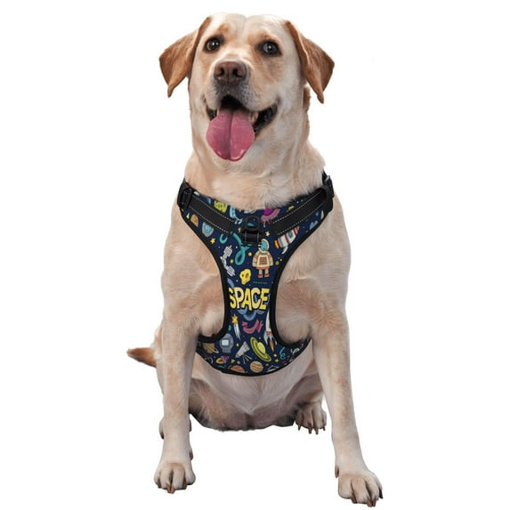 Junzan Colorful Space Pattern Dog Harness - Lightweight,Soft,Adjustable Small Harness And Leash Set-Large