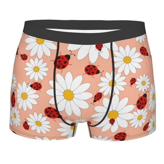 Junzan Daisy And Ladybug Mens Underwear Boxer Briefs For Men’s - Small