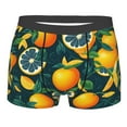 thumbnail image 1 of Junzan Fresh Orange Mens Underwear Boxer Briefs For Men’s - Medium, 1 of 9