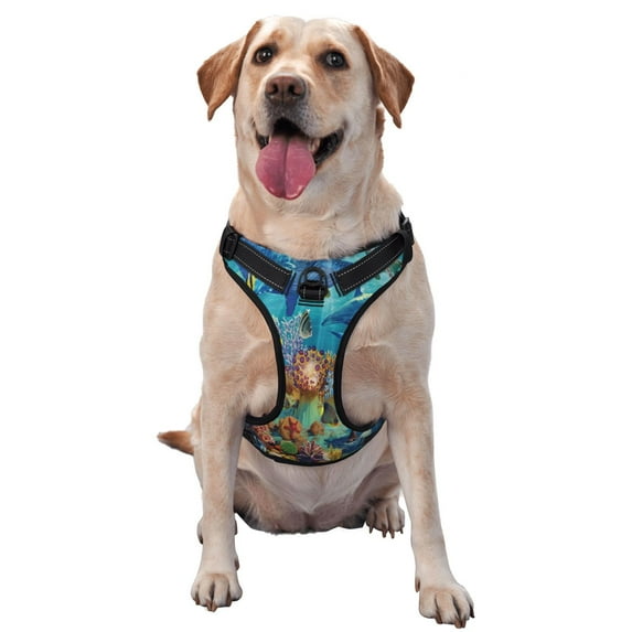 Junzan Sea World Pattern Dog Harness - Lightweight,Soft,Adjustable Small Harness And Leash Set-X-Large